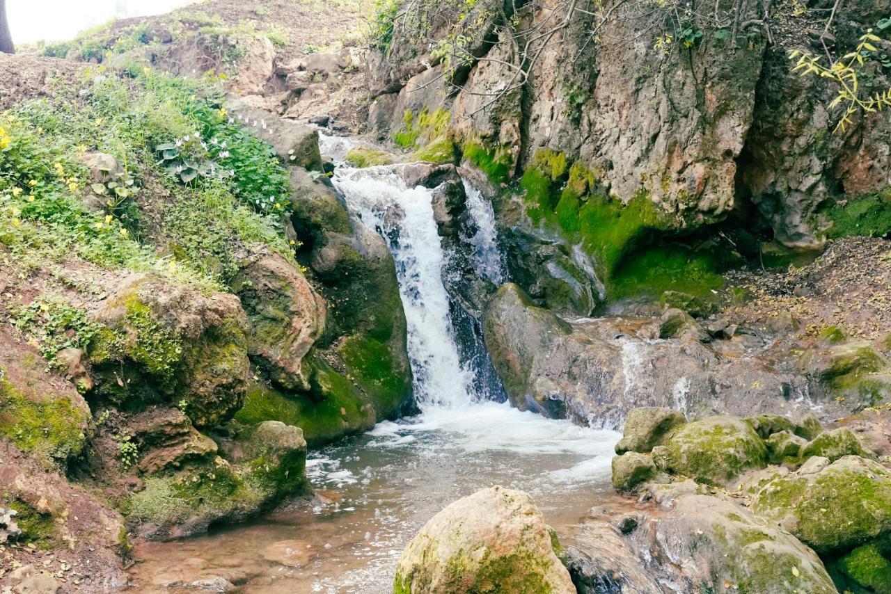 Parod Country Lodge Kültér fotó