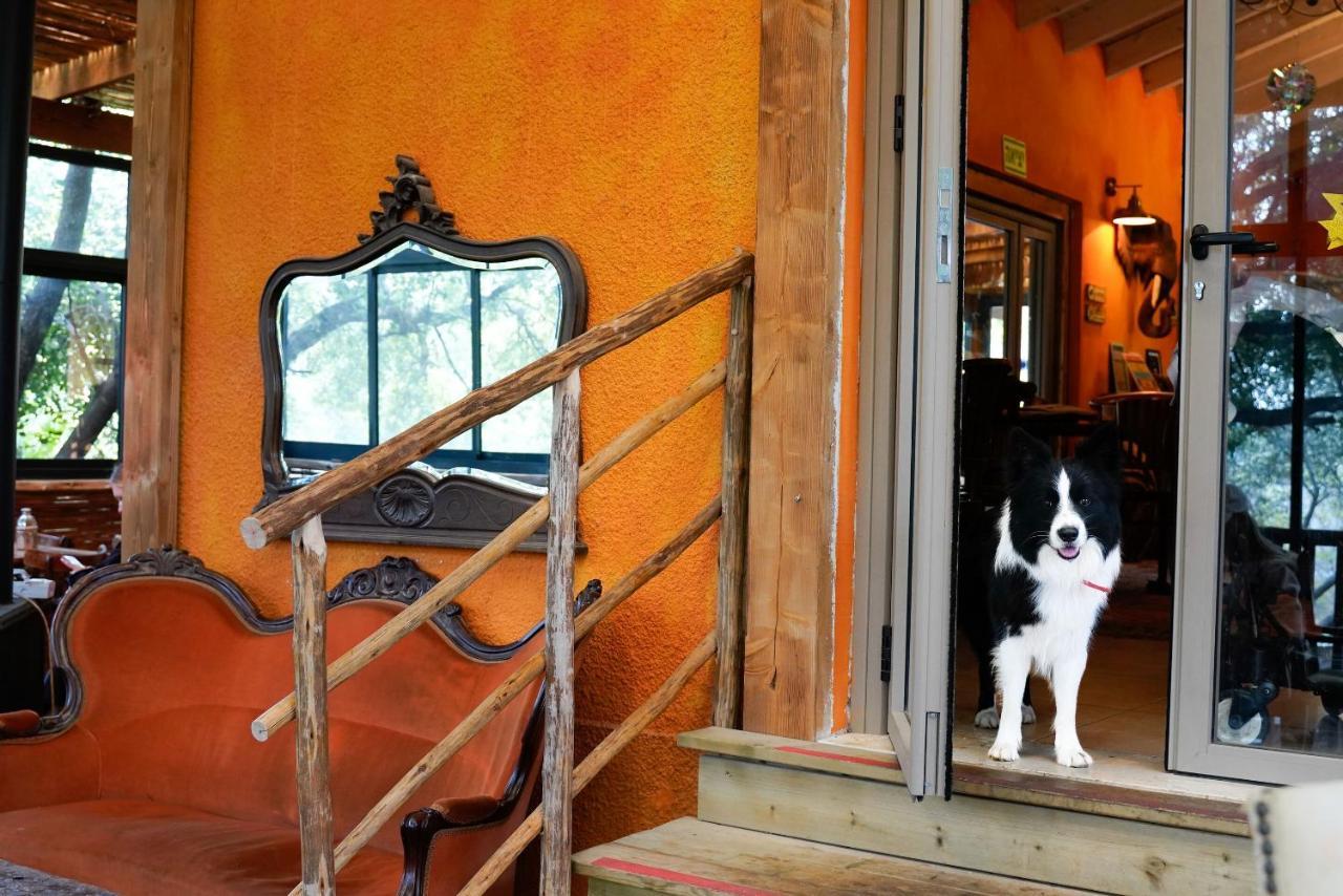 Parod Country Lodge Kültér fotó