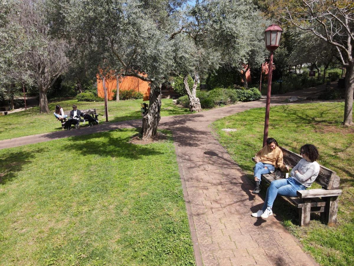 Parod Country Lodge Kültér fotó